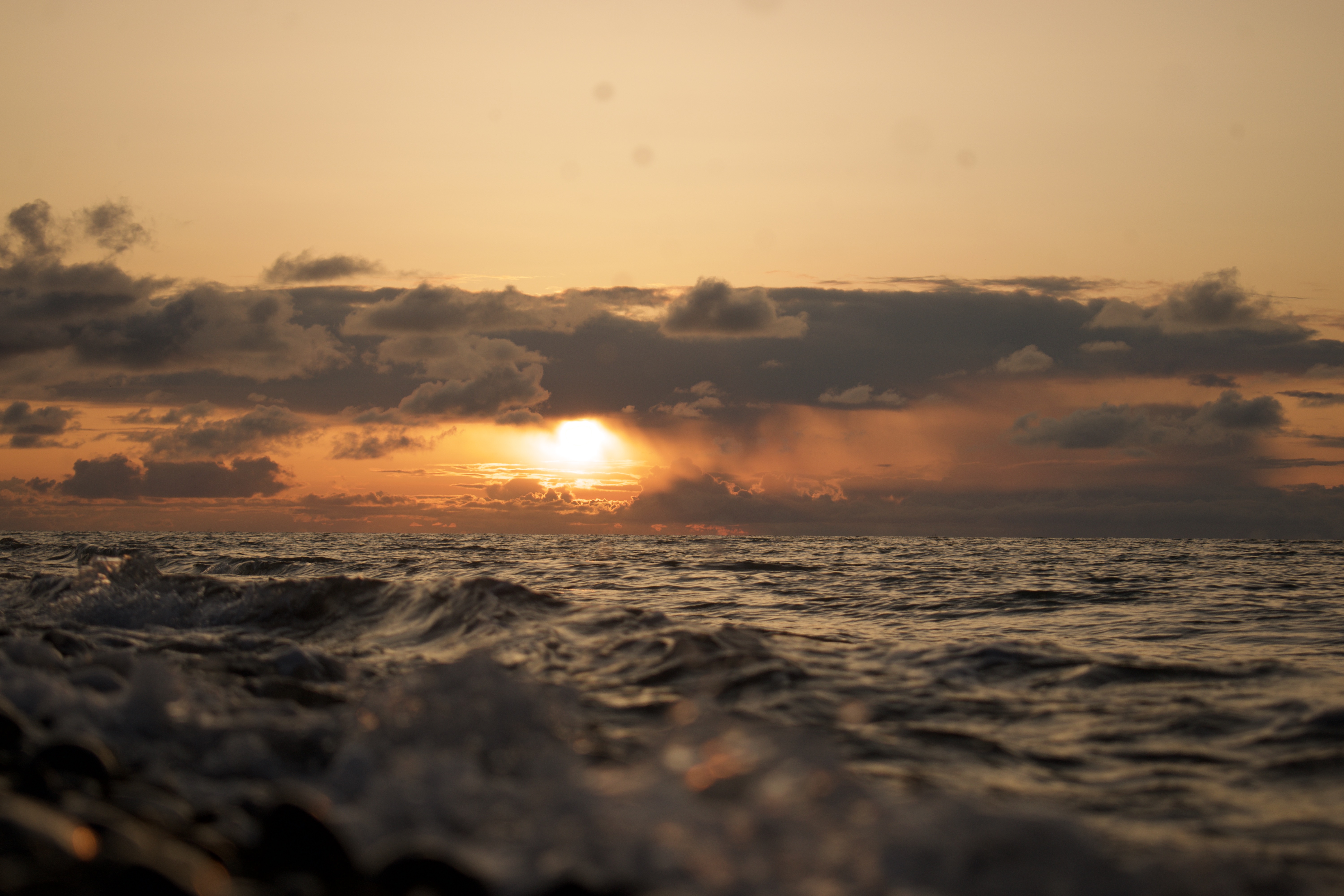 Drew's Whirled Adventures